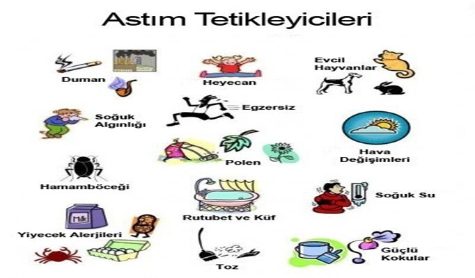 astım sebepleri
