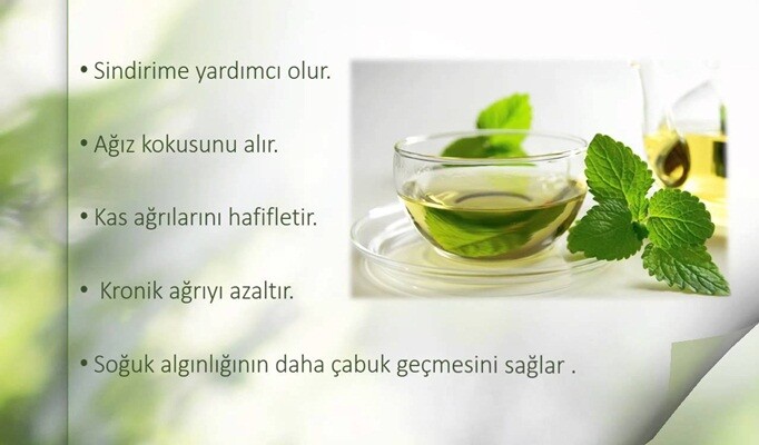 Nane Limon Çayı faydaları