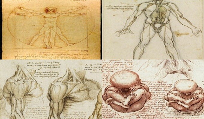 Leonardo da Vinci çizimleri