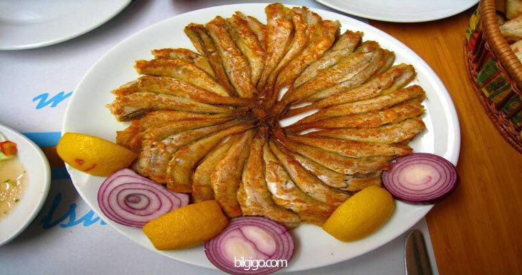 mezgit balığı nasıl pişirilir