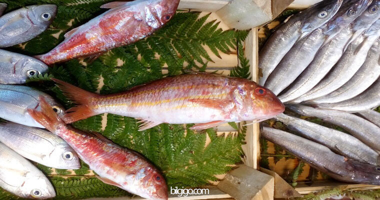 tekir balığı nasıl pişirilir